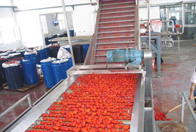 tomato_processing_line-27